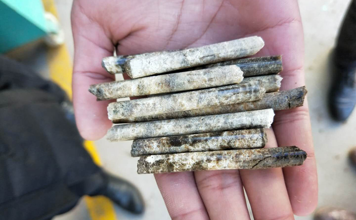 木屑颗粒机压制出的含水率是0的颗粒.jpg 木屑颗粒机压制出的含水率是0的颗粒.jpg