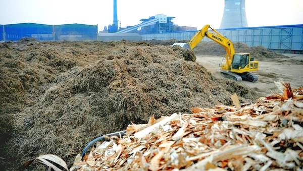 大城县生物质发电公司料场正在垛料操作 大城县生物质发电公司料场正在垛料操作