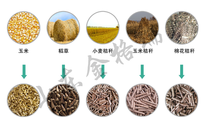 澳门星空体育生产的饲料颗粒
