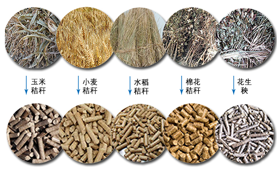 澳门星空体育适用原料