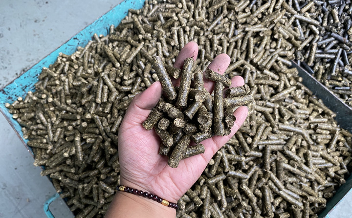 颗粒机造的颗粒 颗粒机造的颗粒