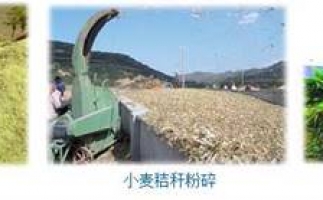 农民科学发展新思路，秸秆综合利用成为赚钱好门路之澳门星空体育