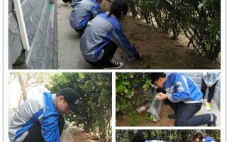 星空软件app下载娱乐“我的环境我做主”主题活动圆满结束